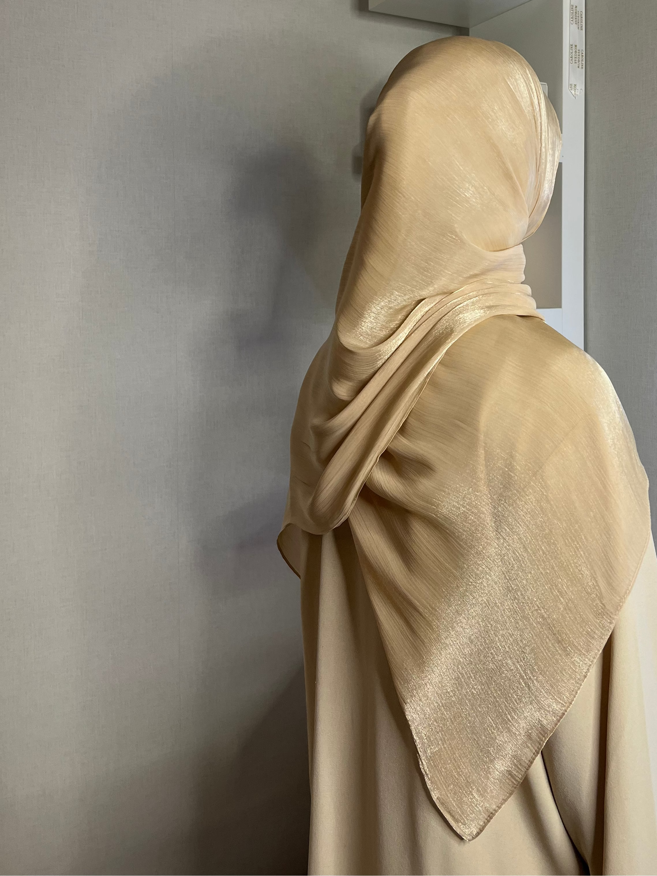 Organza Veil -Beige
